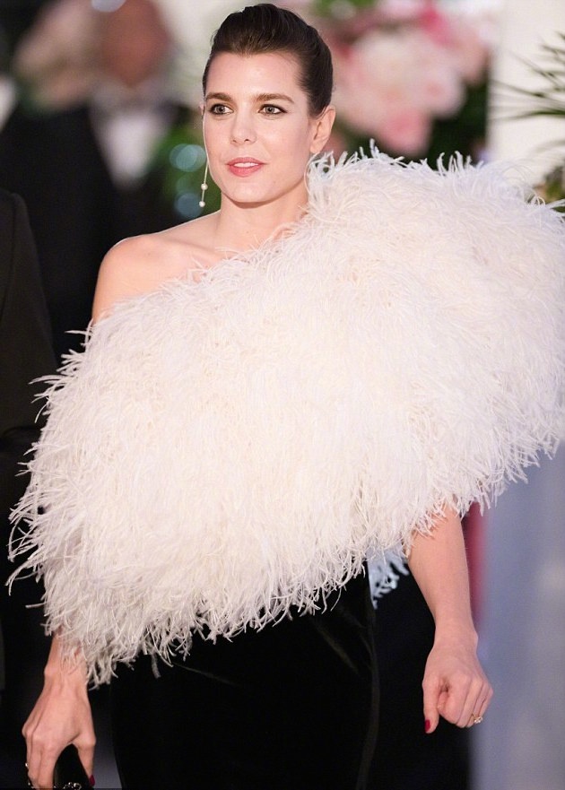 集结日夏洛特黄蜂防线松动今晚摩纳哥回应争议——欧篮联节点到来，赛后法兰克福备战德甲看傻球迷的简单介绍